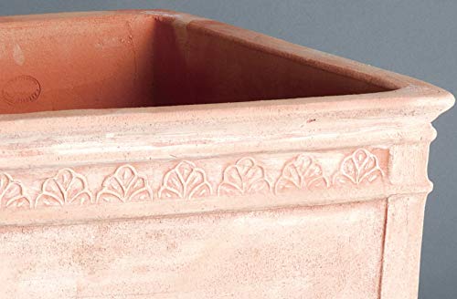 Amazon.co.jp: イタリア製テラコッタプランター リーフキューブ45 （幅